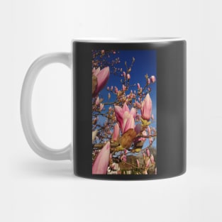 Magnolia blossom Mug